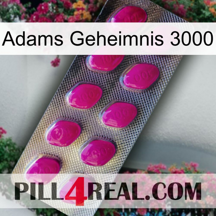 Adams Secret 3000 09